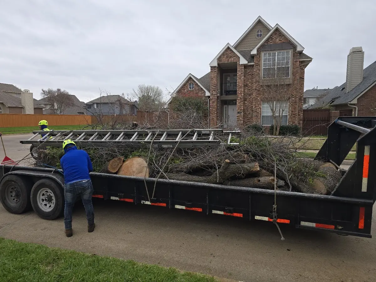 Expert Tree Fertilization with proper safety equipment in Westbrookville